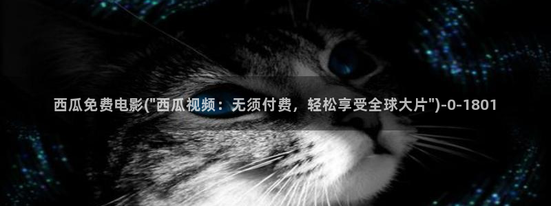 西瓜影院功夫熊猫4