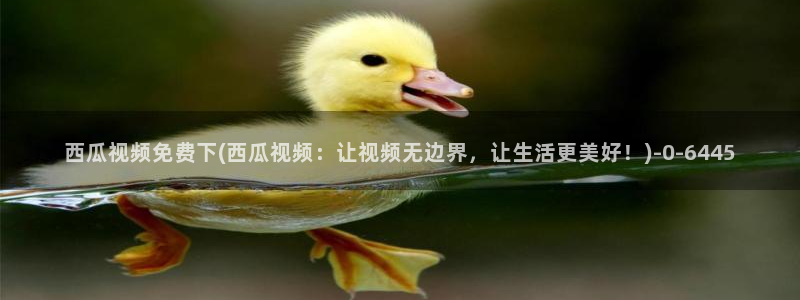 最新西瓜电影在线观看