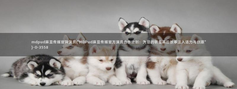 麻豆视频专区推荐：mdpud麻豆传媒官网演员(\