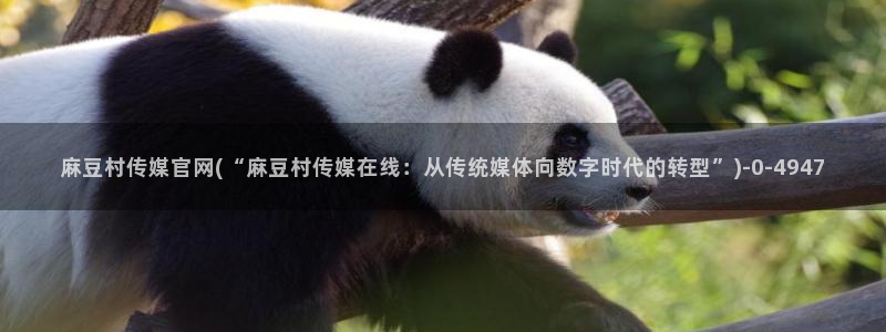 麻豆资源推荐：麻豆村传媒官网(“麻豆村传媒在线：从传统媒体向数字时代的转型”)