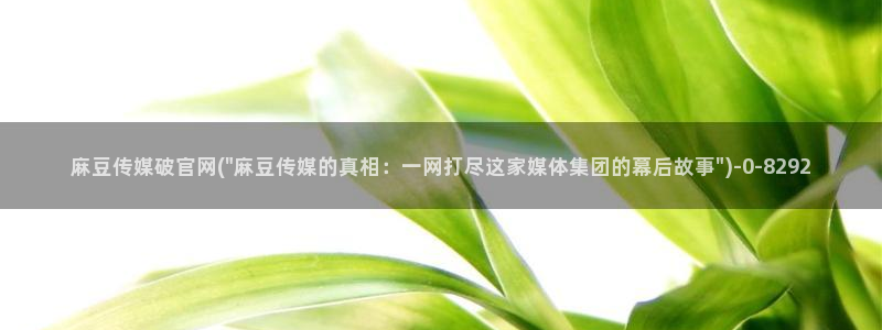 麻豆视频 更新视频：麻豆传媒破官网(\