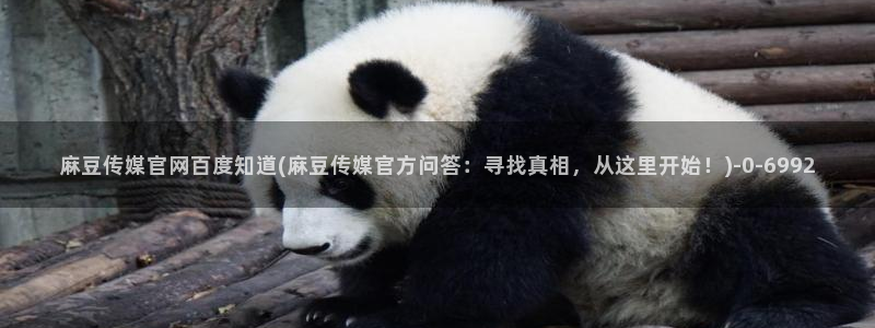 麻豆视频站导航：麻豆传媒官网百度知道(麻豆传媒官
