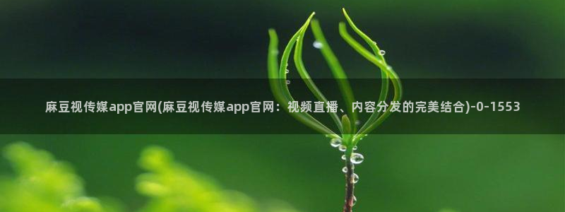 麻豆视频 热门推荐：麻豆视传媒app官网(麻豆视