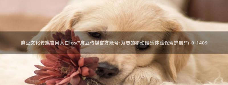 麻豆视频 短片推荐：麻豆文化传媒官网入口ios(\