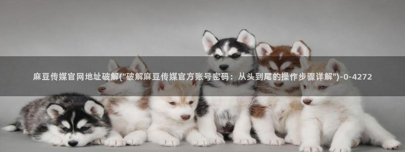 麻豆视频热门最新：麻豆传媒官网地址破解(\