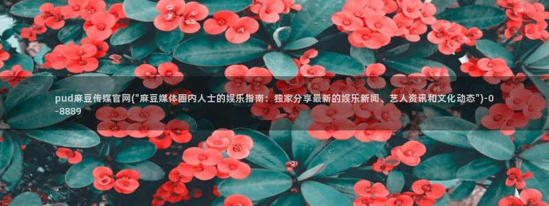 麻豆视频 下载在线看：pud麻豆传媒官网(\