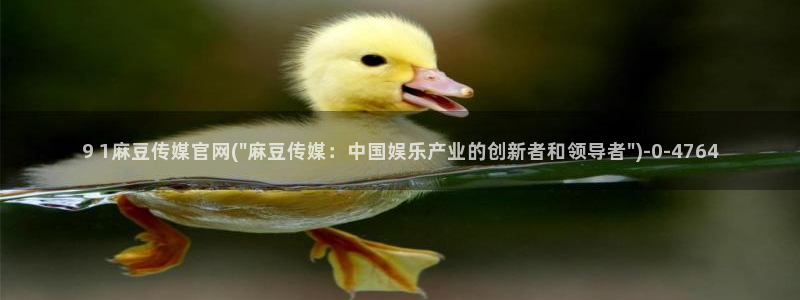 麻豆 合集高清：9 1麻豆传媒官网(\