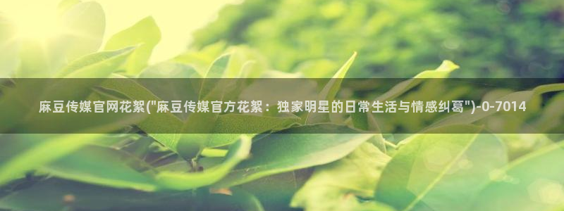 麻豆视频 高清：麻豆传媒官网花絮(\