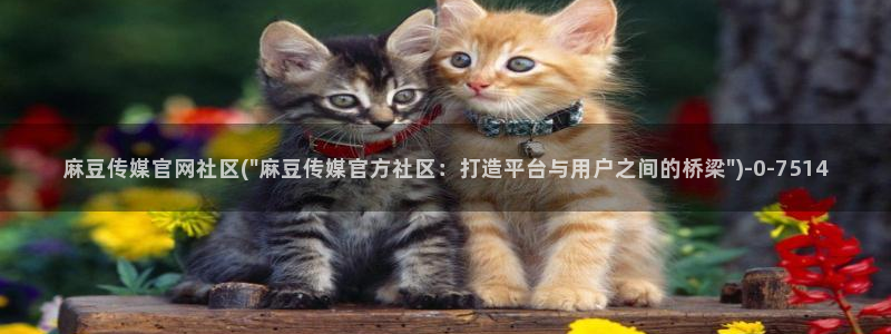 麻豆视频高清导航：麻豆传媒官网社区(\
