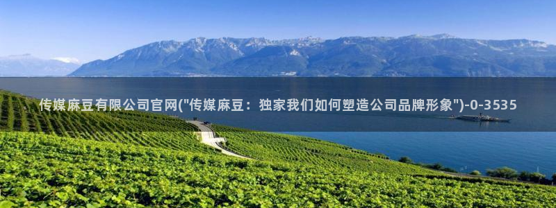 麻豆原创视频：传媒麻豆有限公司官网(\