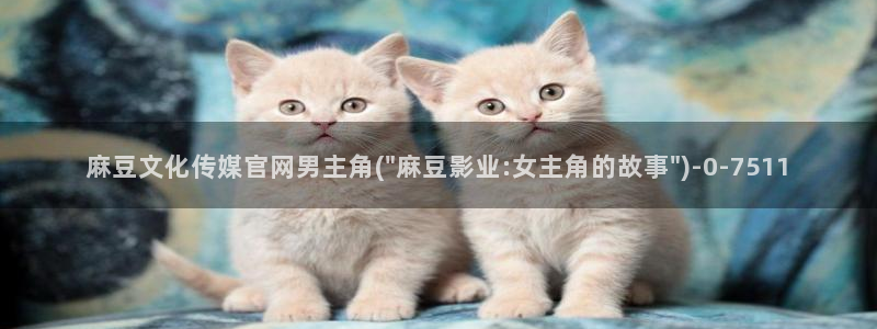 麻豆视频 在线看资源：麻豆文化传媒官网男主角(\