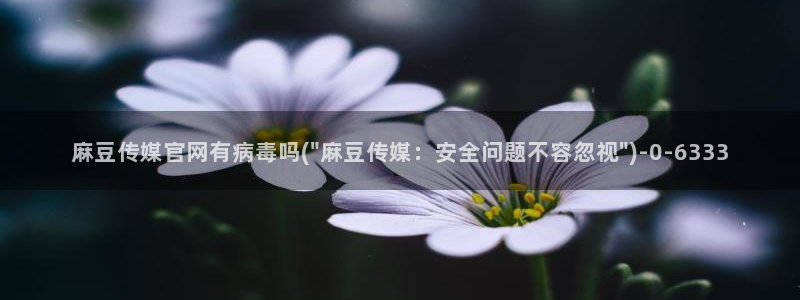 麻豆视频 系列