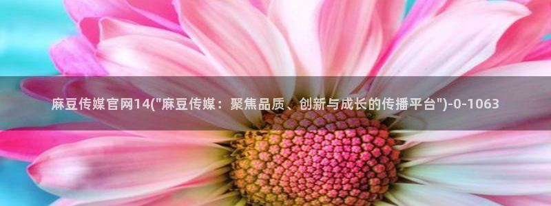 麻豆整理：麻豆传媒官网14(\