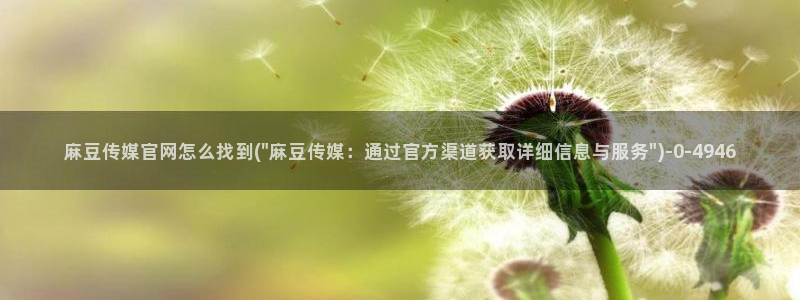 麻豆视频 推荐下载