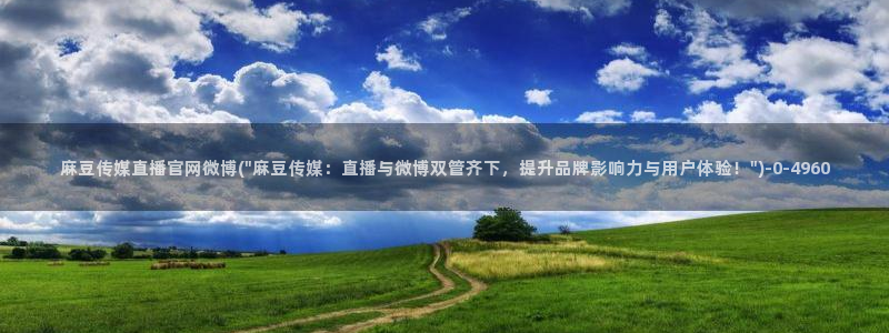 麻豆视频短片推荐