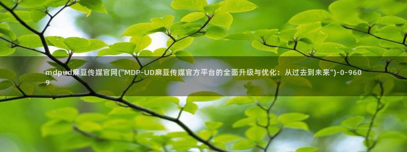麻豆视频 推荐更新：mdpud麻豆传媒官网(\