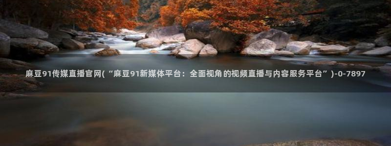 麻豆 最新更新