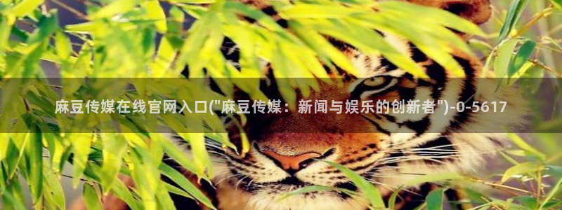 麻豆 高清资源