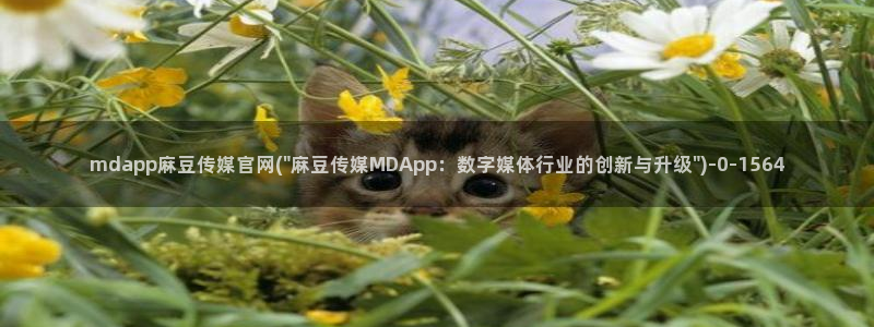 麻豆 资源页面