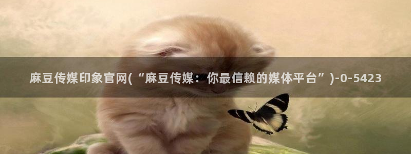 麻豆 精选完整版