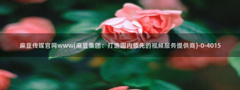麻豆 下载导航：麻豆传媒官网www(麻豆集团：打造国内领