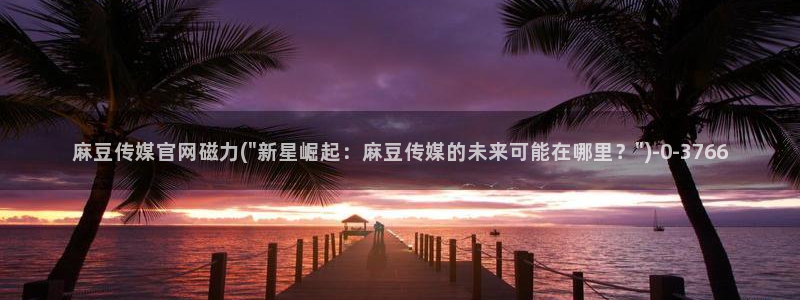 麻豆 官方页面
