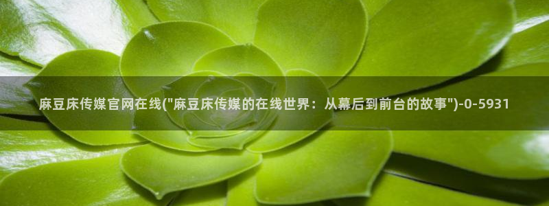 麻豆视频在线看导航