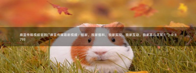麻豆下载专区