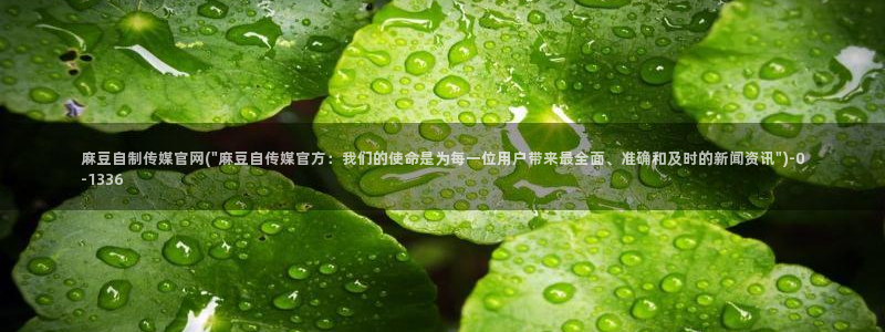 麻豆入口整理：麻豆自制传媒官网(\