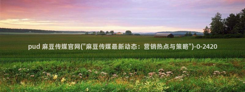 麻豆视频站更新