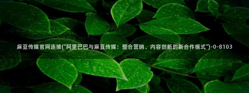 麻豆视频下载最新：麻豆传媒官网连接(\