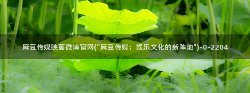 麻豆更新完整版：麻豆传媒映画微博官网(\
