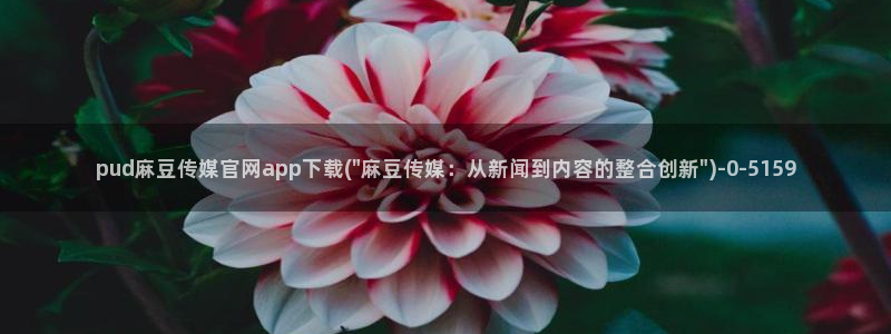 麻豆视频 图集整理