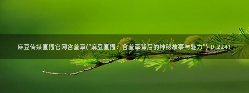麻豆视频 精选视频：麻豆传媒直播官网含羞草(\