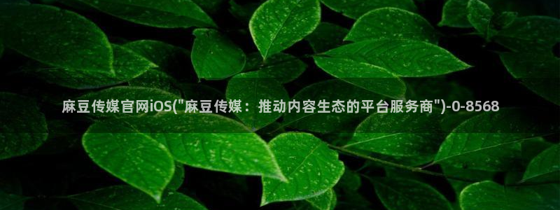 麻豆视频内容专区