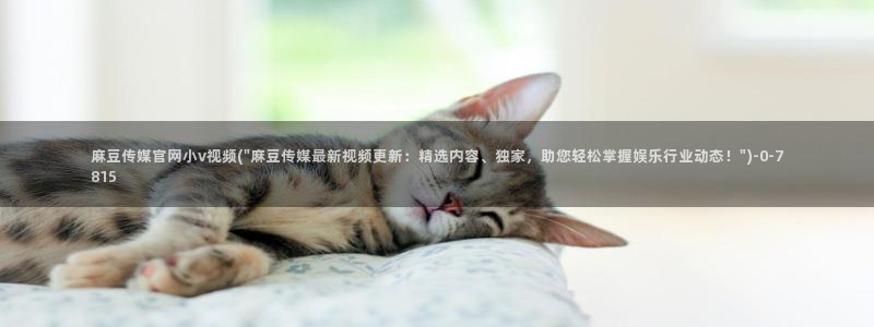 麻豆视频 高清导航